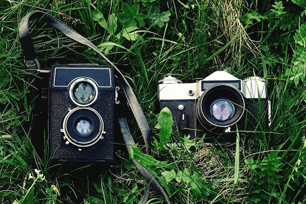 Vecchie macchine fotografiche sull'erba