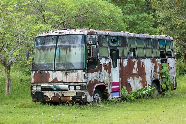 写真 古い車が森の中に駐車したままになりました。