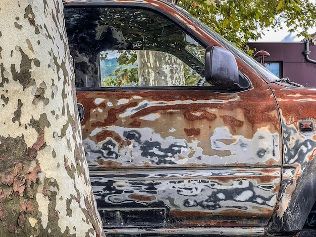 同じように見えるプラタナスの木の隣で塗装を待っているボディワークが剥がれた古い車