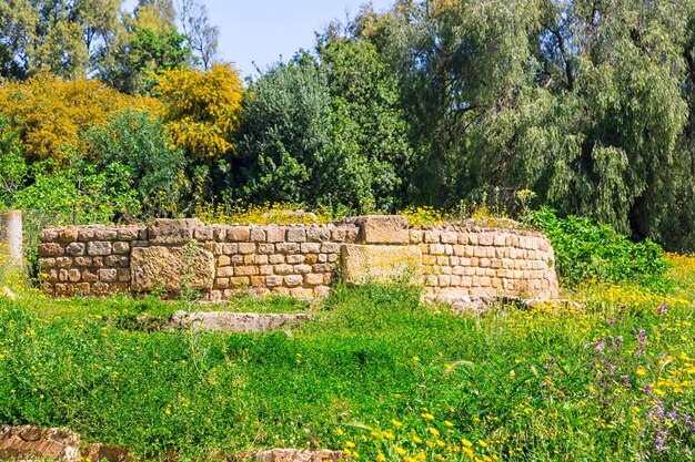 Photo old carthage ruins in tunisia