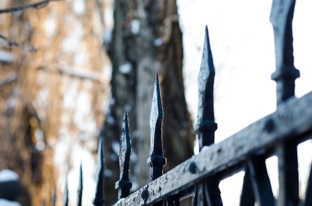 Old cast iron spiked fence in a city park