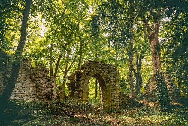 Old castle ruins