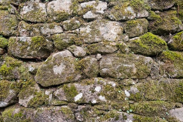 Old castle wild mossy stone wall background