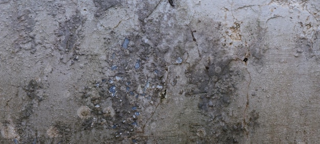 Photo old cement full of stains and scratches can be used as a background
