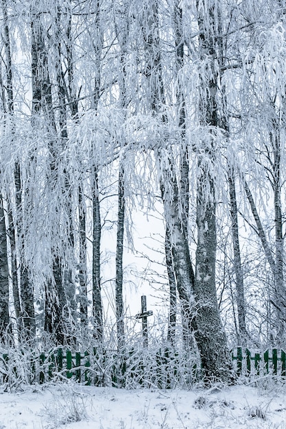 Old cemetery at abandoned  village