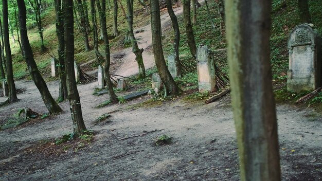 ユダヤ人の墓石がある古い墓地