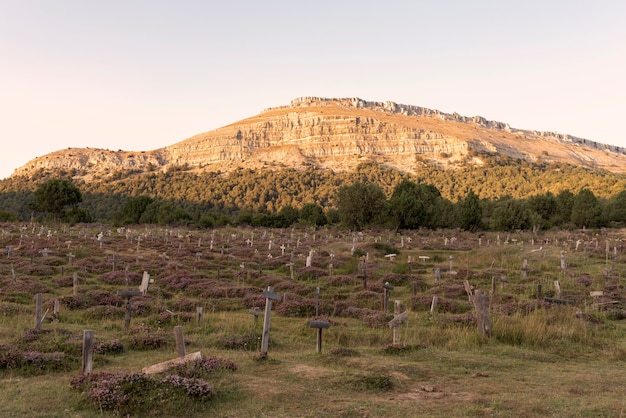 Old cemetery with wooden crosses