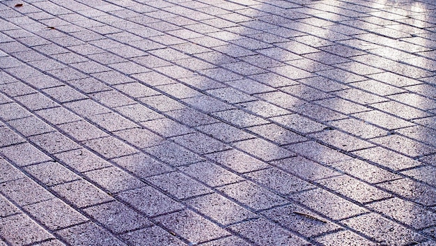 Photo old city pavement textured background. paving tiles in sunlight. sunlight on pavement