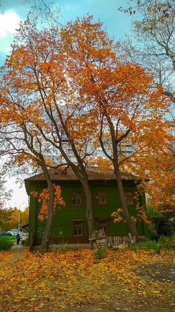 Old city street in autumn