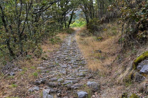 Foto vecchio sentiero acciottolato vicino a piornal spain