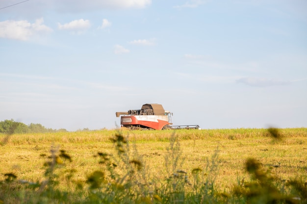 old combine harvester harvests from the field.