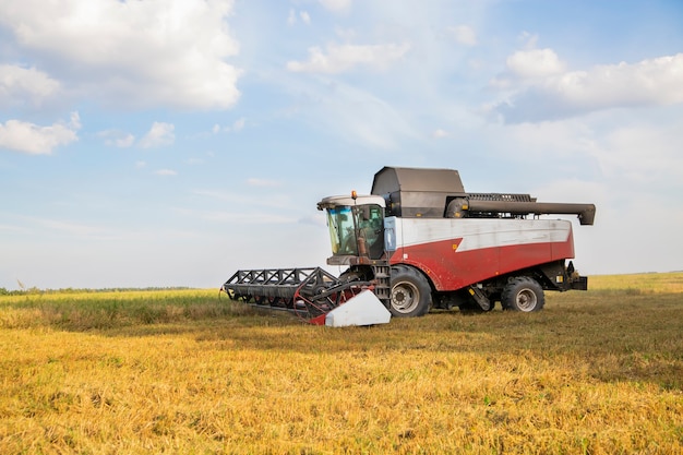 old combine harvester harvests from the field.