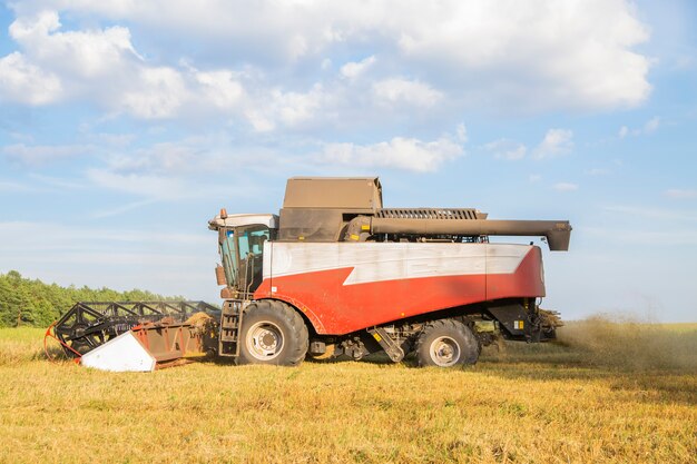 Old combine harvester harvests from the field