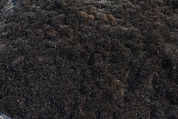 Foto la vecchia struttura astratta concreta con crepe e muffa verde