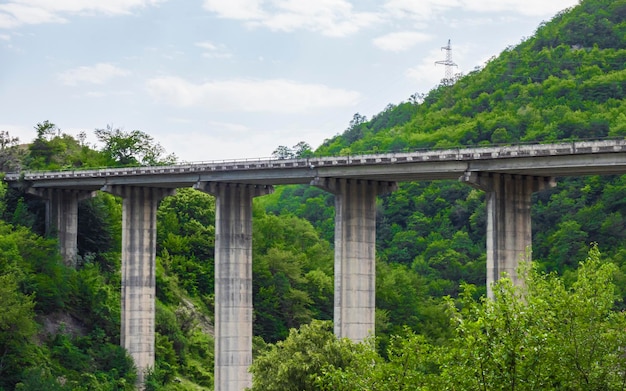 Vecchio ponte di cemento sul fiume nella foresta