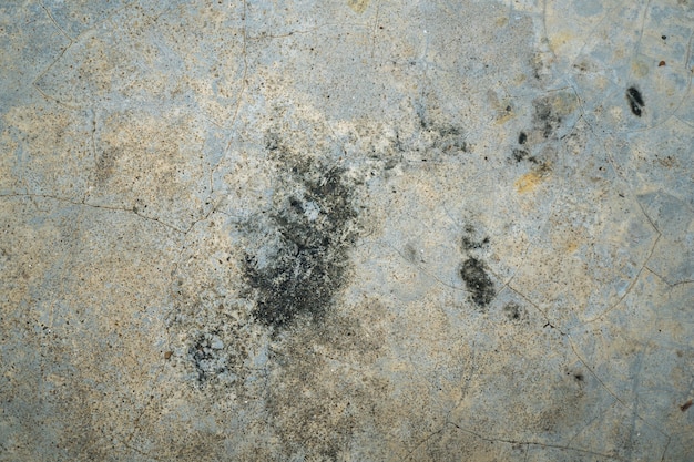 The old concrete floor.