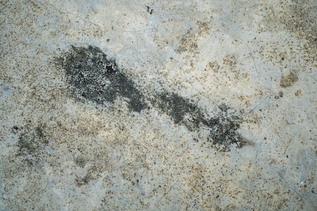 The old concrete floor.