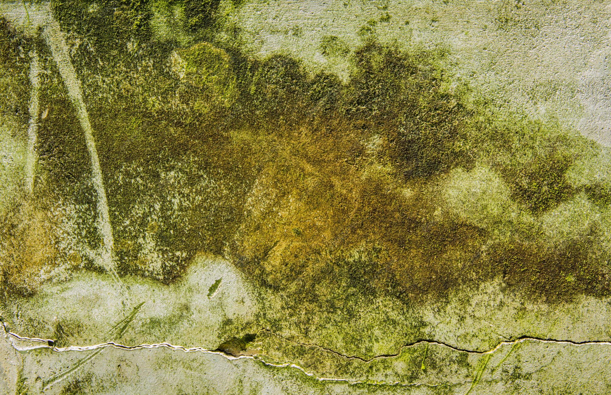 Premium Photo | Old concrete wall and the background