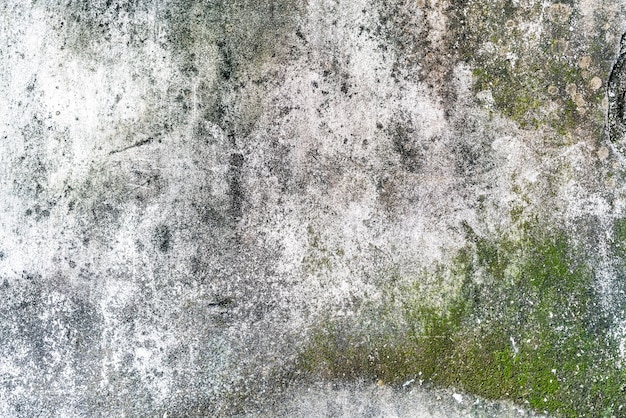 Old concrete wall with water drips and traces with moss texture. Perfect for background.