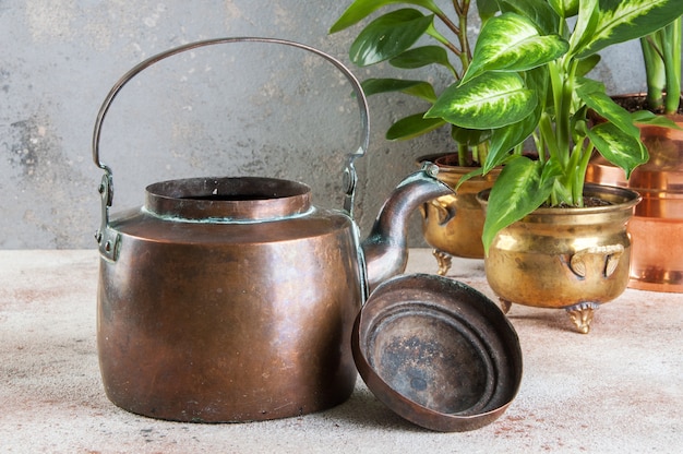 Old copper teapot and green plants