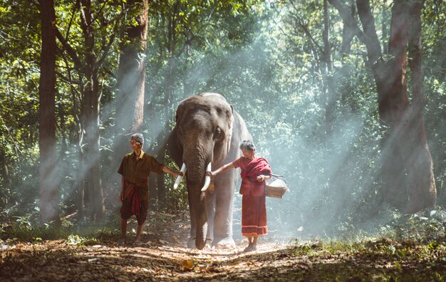 Old couple walking with their elephant into the jungle, in Thailand