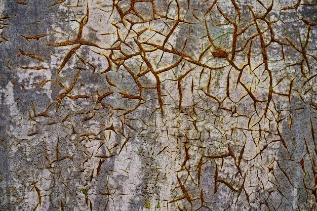 Old cracked gray paint on rusty metal surface