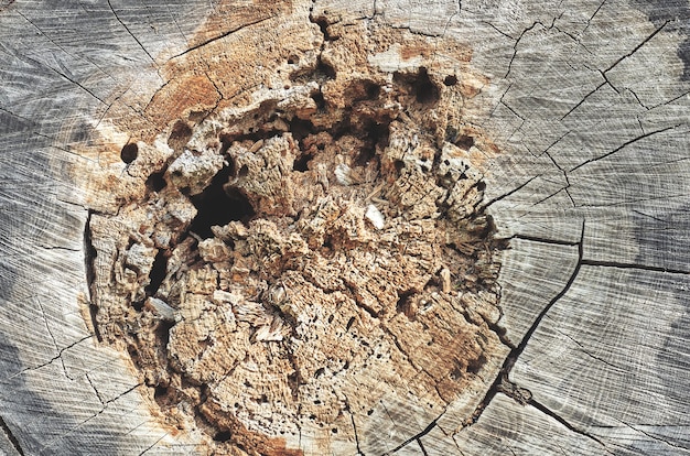 Old cracked wood surface with splinters