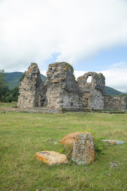 Old destroyed building in nature