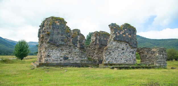 Old destroyed building in nature