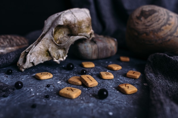Фото Старый череп собаки деревянные руны и камни на столе ведьм