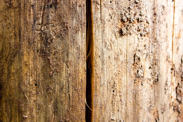 Old dry stump texture backgroundOld rotten stump Authentic dried cracked wood