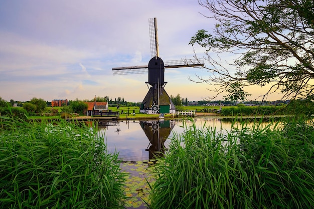 Old dutch windmill at sunset in Kinderdijk Netherlands