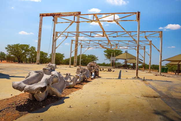 Old elephant abattoir at the Olifantsrus Camp in Etosha National Park Namibia