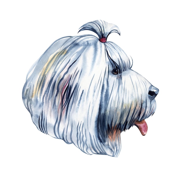 Old English sheepdog used to watch livestock at farms isolated digital art illustration England originated pet from United Kingdom Puppy domestic animal with fur muzzle of canine protective hound