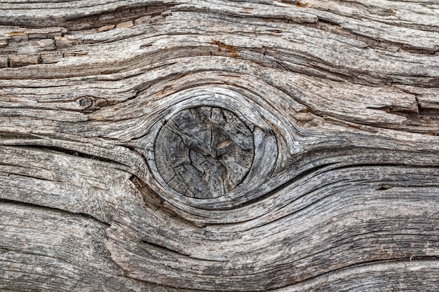 Old faded wood with a knot texture background for mockup or design pattern in a construction, food or industrial flat layer of the sample concept.