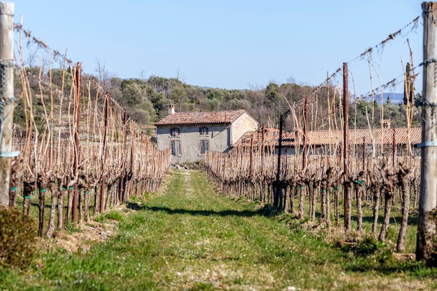 Foto un vecchio casale