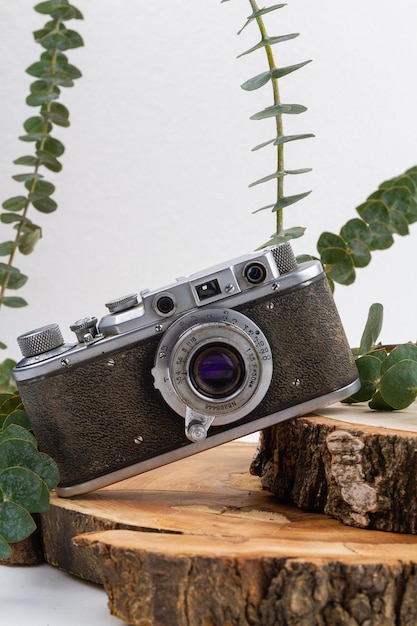 Old fashioned retro vintage photo camera close up branches with leaves and wooden boards decoration