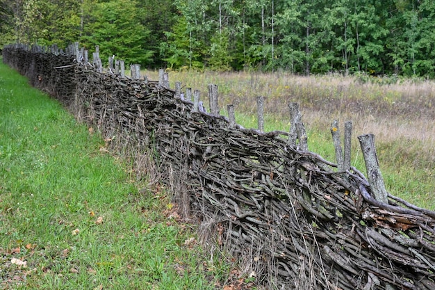 Old fence made of dry branches