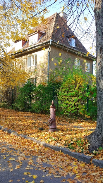 An old fire hydrant on a background of yellow leaves