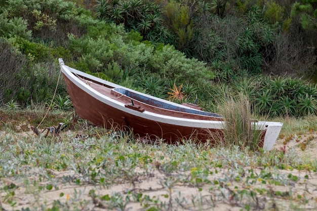 Old fisherman's abandoned boat laying on the sand dunes surrounded by plants and trees at the beach