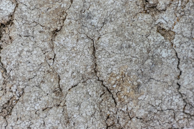 Old foam covered with cracks, dirt and mold.