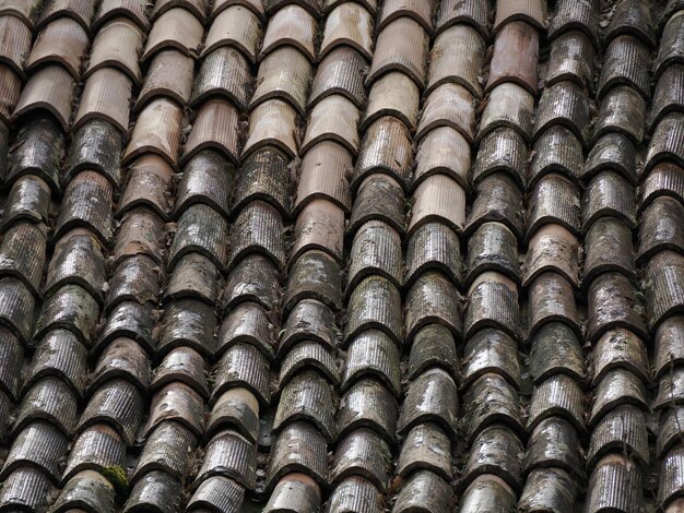 Old frassinedolo medieval village roof in valley around Bismantova stone near castelnovo ne monti