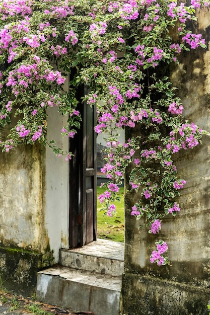 Old garden gates are decorated with purple flowers