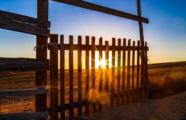 Photo old gate in the steppe on the background of the sunrise landscape the day will be hot