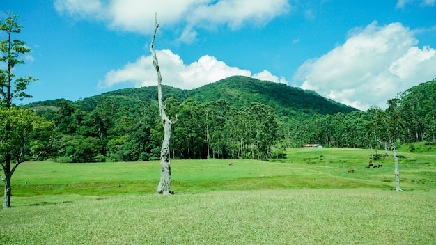 Old Golf Ground