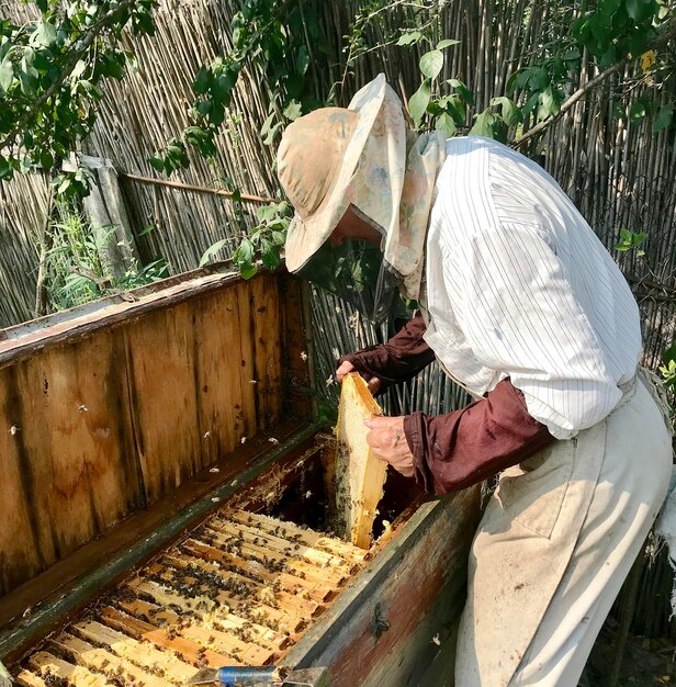 写真 古い祖父の養蜂家は自分の田舎の養蜂場で働いています