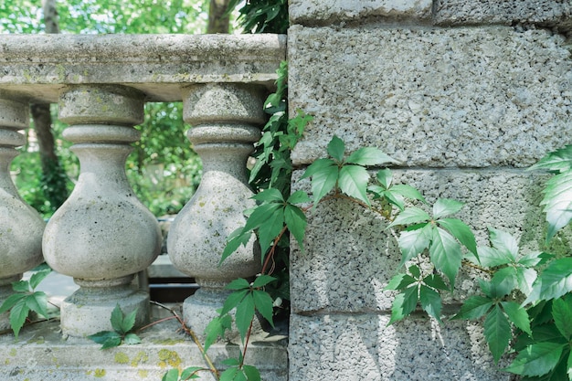 Photo old gray balustrade with stone columns and railing on green tree and architectural construction background, horizontal outdoors stock photo image backgrounds with copy space