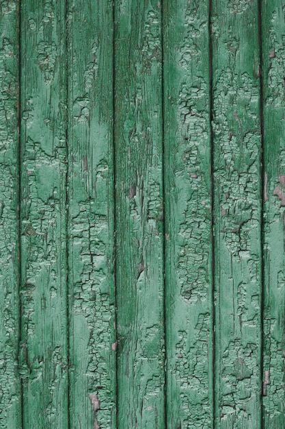 Old green fence wood texture