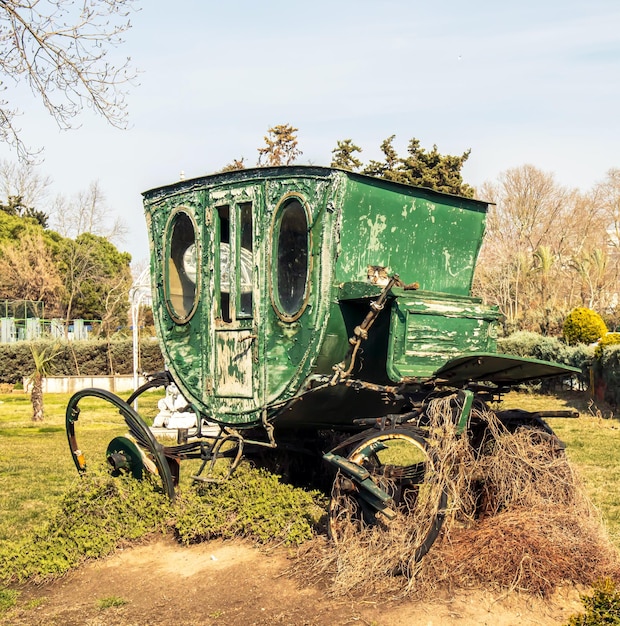 Old Green Horse Cart and horse carriage driver cat on it under clear sky