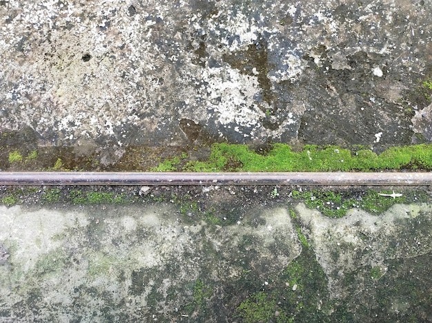 오래 된 그런 지 균열 회색 콘크리트 또는 녹색 이끼와 강철 막대와 시멘트 벽 질감 배경